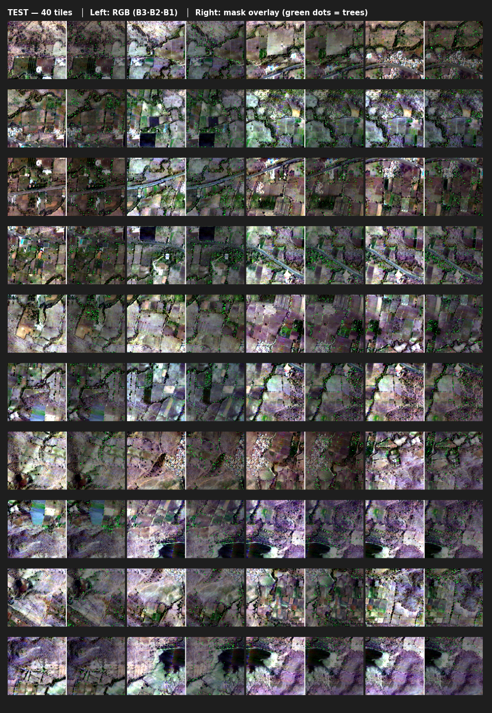 Test Grid