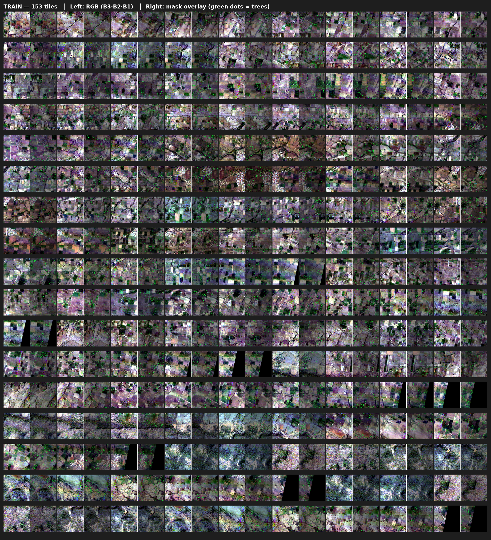 Train Grid
